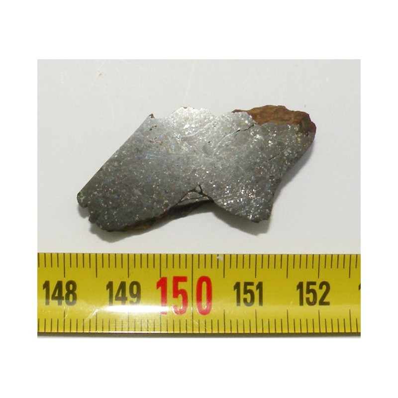 tranche de Meteorite NWA 5059 ( 001 )