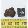Impactite du cratère de Monturaqui dans une boite (Chili - 1.50 gramme - 005 **)