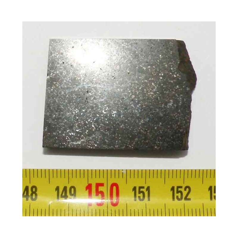 tranche de Meteorite NWA 4300 ( 001 )