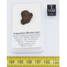 Impactite du cratère de Monturaqui dans une boite (Chili - 1.50 gramme - 005 **)