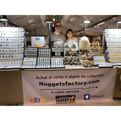 Collier pendentif dent de dinosaure dans une boite - Mosasaure (Maroc - 068**)