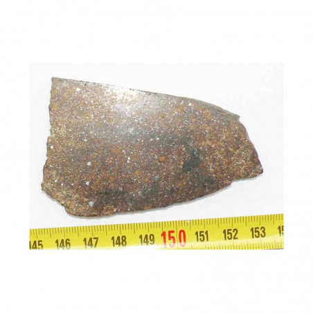 tranche de Meteorite Sahara 02500 ( 001 )