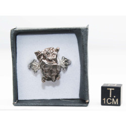 Bague Météorite Campo del Cielo type Cristal ( taille vers 20 - 002**)