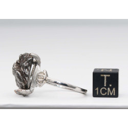 Bague Météorite Campo del Cielo type Cristal ( taille vers 20 - 002**)
