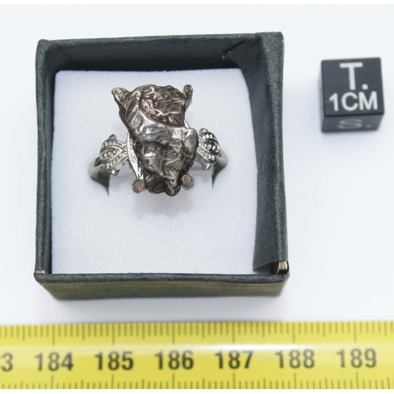 Bague Météorite Campo del Cielo type Cristal ( taille vers 20 - 002**)