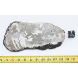 Tranche gravée de Météorite Campo del Cielo avec structures de Widmanstätten ( Argentine -  332 grammes - 086 ** )
