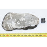 Tranche gravée de Météorite Campo del Cielo avec structures de Widmanstätten ( Argentine -  332 grammes - 086 ** )