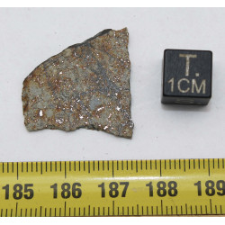 Tranche de météorite Vinales dans une boite - Chondrite L6 ( 1.92 gr - 005 ** )