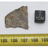 Tranche de météorite Vinales dans une boite - Chondrite L6 ( 1.92 gr - 005 ** )