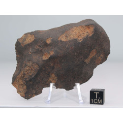 Talon de météorite Vinales - Chondrite L6 ( 84 grammes - 006 ** )