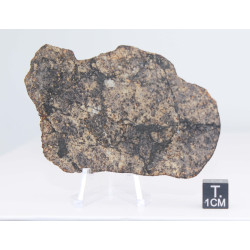 Talon de météorite Vinales - Chondrite L6 ( 84 grammes - 006 ** )