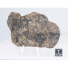 Talon de météorite Vinales - Chondrite L6 ( 84 grammes - 006 ** )