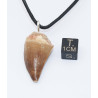 Collier pendentif dent de dinosaure dans une boite - Mosasaure (Maroc - 069**)