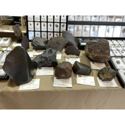 Tranche de Météorite NWA 12577 dans une boite - Chondrite L4 ( 13.80 grammes - 002** )