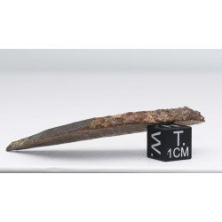 Tranche de Météorite NWA 12577 dans une boite - Chondrite L4 ( 13.80 grammes - 002** )