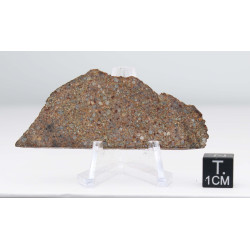 Tranche de Météorite NWA 12577 dans une boite - Chondrite L4 ( 13.80 grammes - 002** )