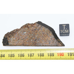 Tranche de Météorite NWA 12577 dans une boite - Chondrite L4 ( 13.80 grammes - 002** )