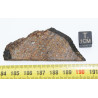 Tranche de Météorite NWA 12577 dans une boite - Chondrite L4 ( 13.80 grammes - 002** )