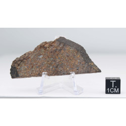 Tranche de Météorite NWA 12577 dans une boite - Chondrite L4 ( 13.80 grammes - 002** )