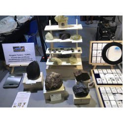 Talon de Météorite Lunaire NWA 15018 dans une boite - Feldspathic Breccia (NWA - 0.794 gramme - 022**)