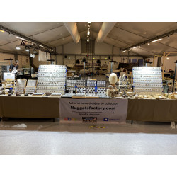 Talon de Météorite Lunaire NWA 15018 dans une boite - Feldspathic Breccia (NWA - 0.794 gramme - 022**)