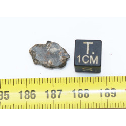 Talon de Météorite Lunaire NWA 15018 dans une boite - Feldspathic Breccia (NWA - 0.794 gramme - 022**)