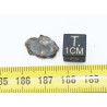 Talon de Météorite Lunaire NWA 15018 dans une boite - Feldspathic Breccia (NWA - 0.794 gramme - 022**)