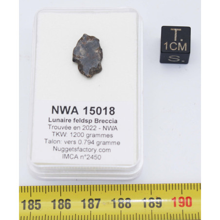 Talon de Météorite Lunaire NWA 15018 dans une boite - Feldspathic Breccia (NWA - 0.794 gramme - 022**)