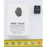 Talon de Météorite Lunaire NWA 15018 dans une boite - Feldspathic Breccia (NWA - 0.794 gramme - 022**)