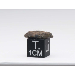 Talon de Météorite Lunaire NWA 15018 dans une boite - Feldspathic Breccia (NWA - 0.794 gramme - 022**)