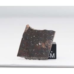 Tranche de Météorite Kumtag 002 dans une boite - Chondrite L4( Chine - 3.10 grammes -  001 ** )