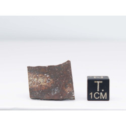 Tranche de Météorite Kumtag 002 dans une boite - Chondrite L4( Chine - 3.10 grammes -  001 ** )