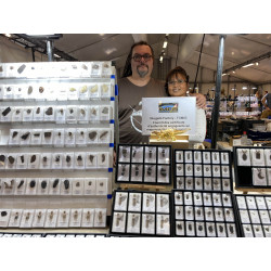 Talon de Météorite JAH 933 dans une boite Chondrite H3 (Oman - 4.30 grammes - 004** )