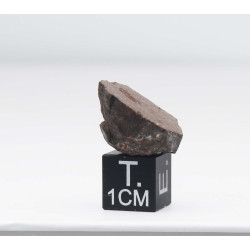 Talon de Météorite JAH 933 dans une boite Chondrite H3 (Oman - 4.30 grammes - 004** )