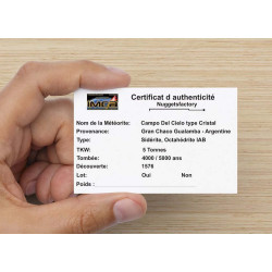 Météorite Campo del Cielo type Cristal dans une boite (Argentine - 5.90 grammes - 087 **)