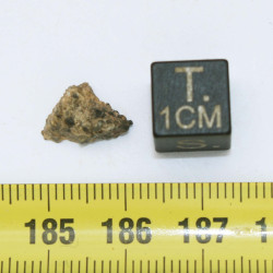 Talon de Météorite Lunaire NWA 13739 dans une boite Feld Breccia (Algérie - 0.48 gramme - 006 **)