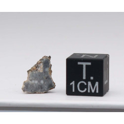 Talon de Météorite Lunaire NWA 13739 dans une boite Feld Breccia (Algérie - 0.48 gramme - 006 **)
