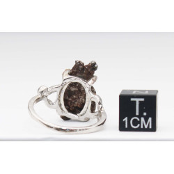 Bague Météorite Campo del Cielo type Cristal ( taille vers 19 - 004**)