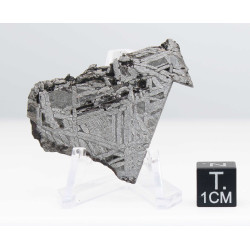 Tranche de météorite Aletaï avec lignes de Widmanstätten (14.65 grammes - Chine - 001**)