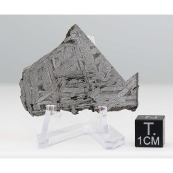 Tranche de météorite Aletaï avec lignes de Widmanstätten (14.65 grammes - Chine - 001**)