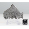 Tranche de météorite Aletaï avec lignes de Widmanstätten (14.65 grammes - Chine - 001**)