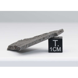 Tranche de météorite Aletaï avec lignes de Widmanstätten (14.65 grammes - Chine - 001**)