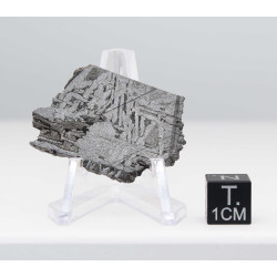 Tranche de météorite Aletaï avec lignes de Widmanstätten (10.75 grammes - Chine - 002**)