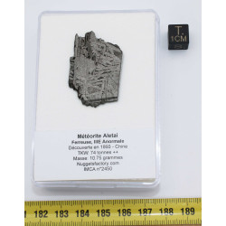 Tranche de météorite Aletaï avec lignes de Widmanstätten (10.75 grammes - Chine - 002**)