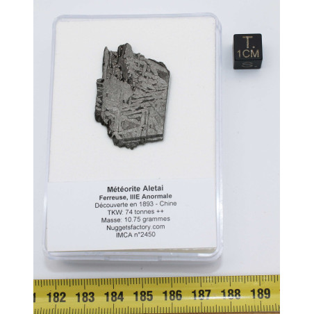 Tranche de météorite Aletaï avec lignes de Widmanstätten (10.75 grammes - Chine - 002**)
