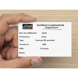 Tranche de météorite Aletaï avec lignes de Widmanstätten (9.20 grammes - Chine - 003**)