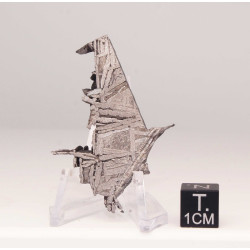 Tranche de météorite Aletaï avec lignes de Widmanstätten (9.20 grammes - Chine - 003**)