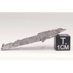 Tranche de météorite Aletaï avec lignes de Widmanstätten (9.20 grammes - Chine - 003**)