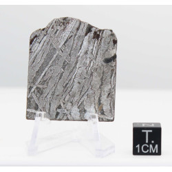 Tranche de météorite Aletaï avec lignes de Widmanstätten (15.10 grammes - Chine - 004**)