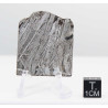Tranche de météorite Aletaï avec lignes de Widmanstätten (15.10 grammes - Chine - 004**)